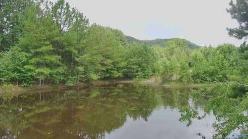 4040 Us Highway 278 Byp W, Piedmont, AL, 36272-1137 | Card Image