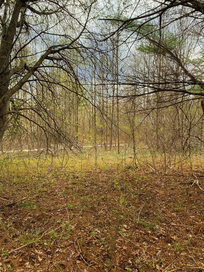 33 Friar Tuck Loop & 284 Turkey Scratch Rd, Home with 0 bedrooms, 0 bathrooms and null parking in Spencer TN | Image 6