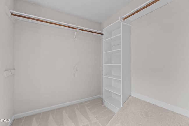 29-web-or-mls-2N6A3551 | Image 20