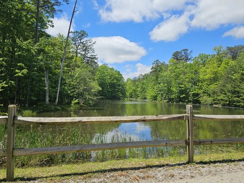6 Beechwood Trail, Coalmont, TN, 37313 | Card Image