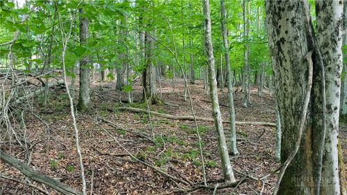 215 Overbrook Trl, Beech Mountain, NC, 28604-8145 | Card Image