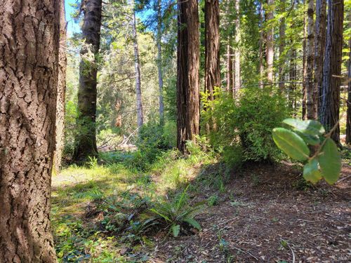 315 Chinquapin Ln, The Sea Ranch, CA, 95497 | Card Image