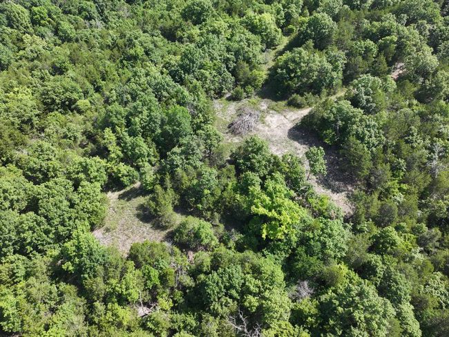 dji_fly_20250620_103208_0027_17504331098 | Image 19
