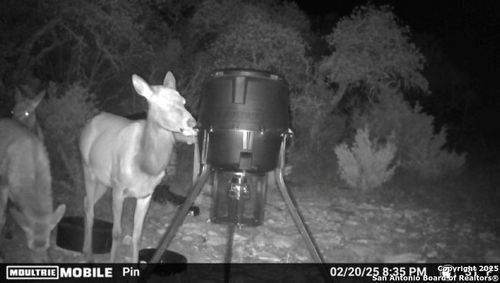 TBD Sd31500, Rocksprings, TX, 78880 | Card Image