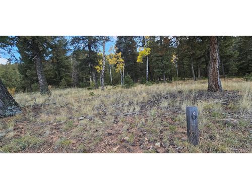 54 Garnet Ln, Pine, CO, 80470 | Card Image