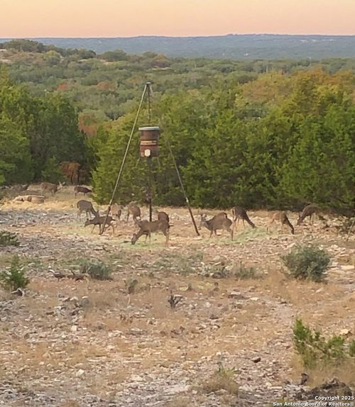 932 Shin Oak Rd, Menard, TX, 76859 | Card Image