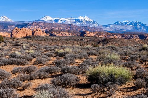 1144 N Kayenta Dr, Moab, UT, 84532 | Card Image