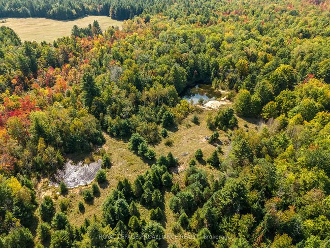 00 Highway 41, Home with 0 bedrooms, 0 bathrooms and null parking in Kaladar ON | Image 20