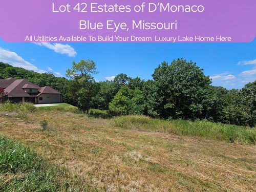 Lot 42 Valencia Ct, Blue Eye, MO, 65611-5650 | Card Image