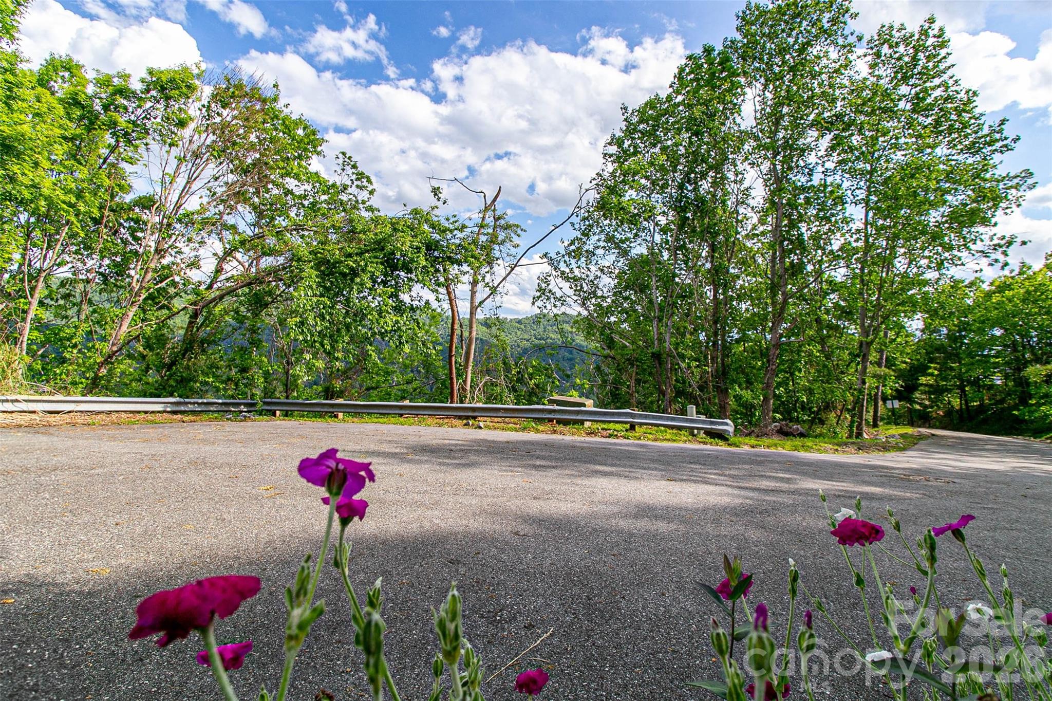 Land in Asheville 2