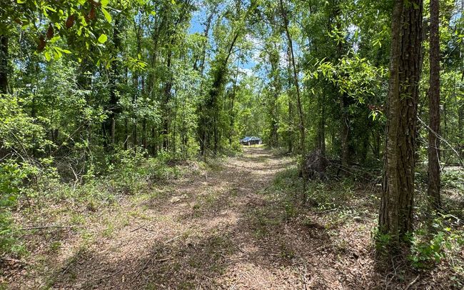 TBD 172 Nd Trce, Home with 0 bedrooms, 0 bathrooms and null parking in LIVE OAK FL | Image 5