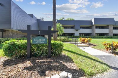 09110 - 36750 Us Highway 19 N, Condo with 1 bedrooms, 1 bathrooms and null parking in PALM HARBOR FL | Image 1