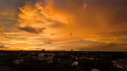 1110-3211 W Swann Ave, TAMPA, FL, 33609-5502 | Card Image