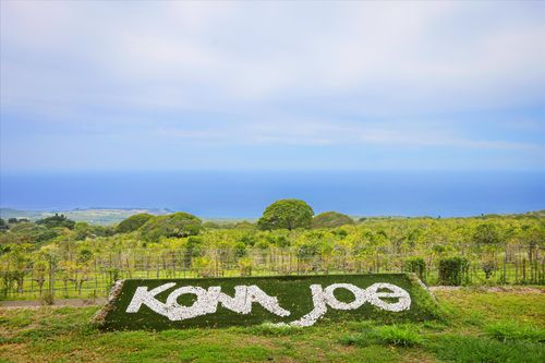 79-7346 Mamalahoa Hwy, Kealakekua, HI, 96750-7910 | Card Image
