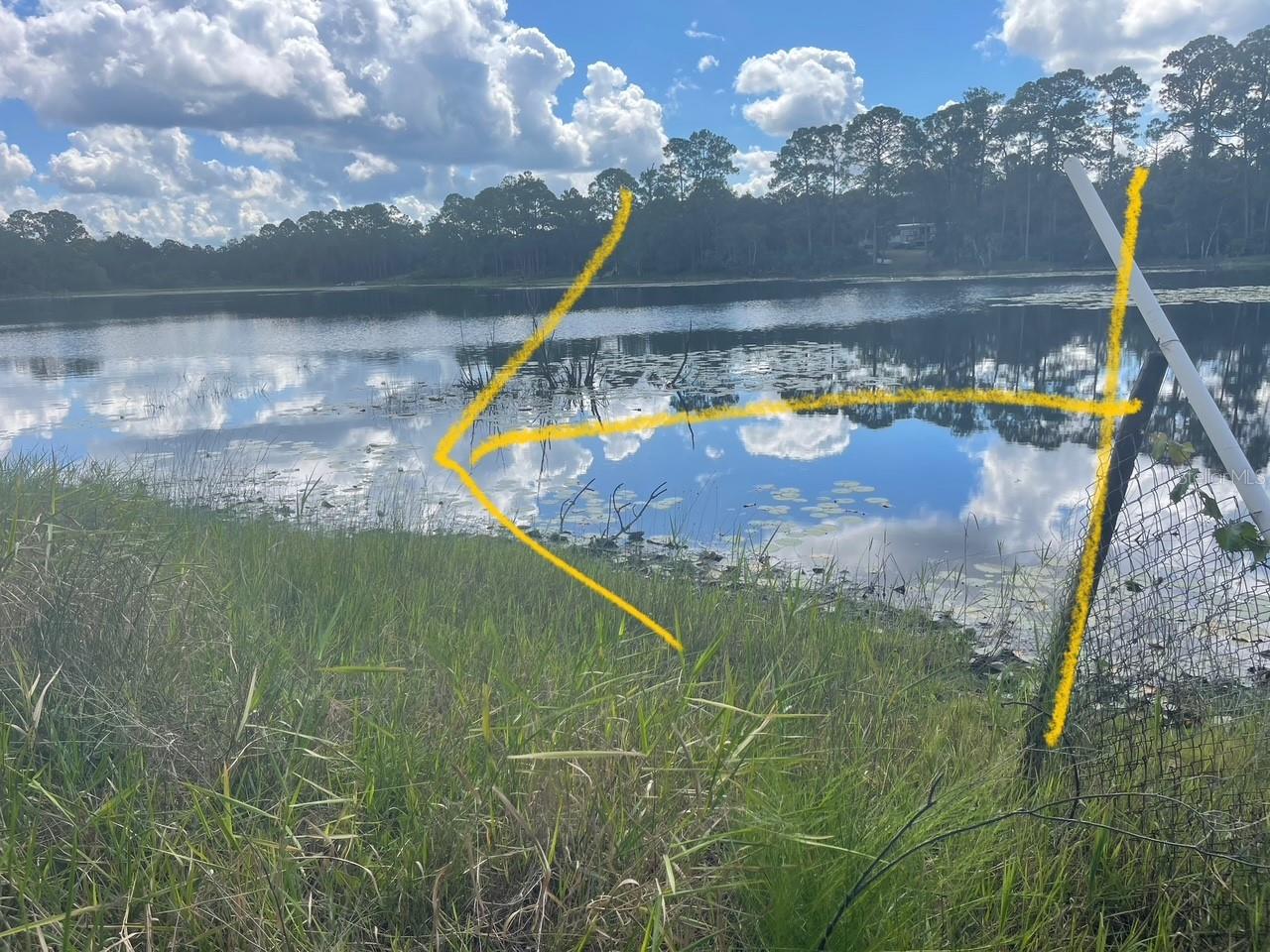 Land in DELAND
