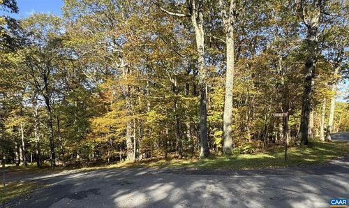 20-TBD Winter Wren Ln, WINTERGREEN RESORT, VA, 22967 | Card Image