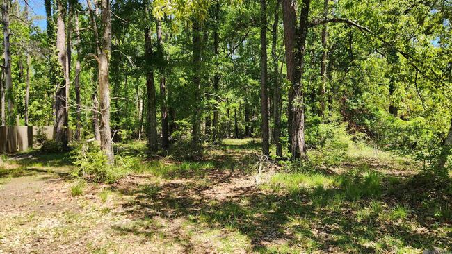 31531 River Pines Dr, Home with 0 bedrooms, 0 bathrooms and null parking in Springfield LA | Image 15
