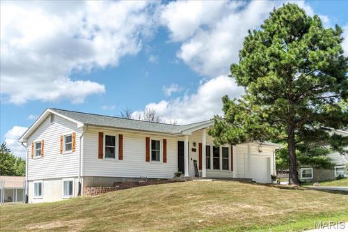 1295 Michelle Dr, Saint Clair, MO, 63077-1625 | Card Image