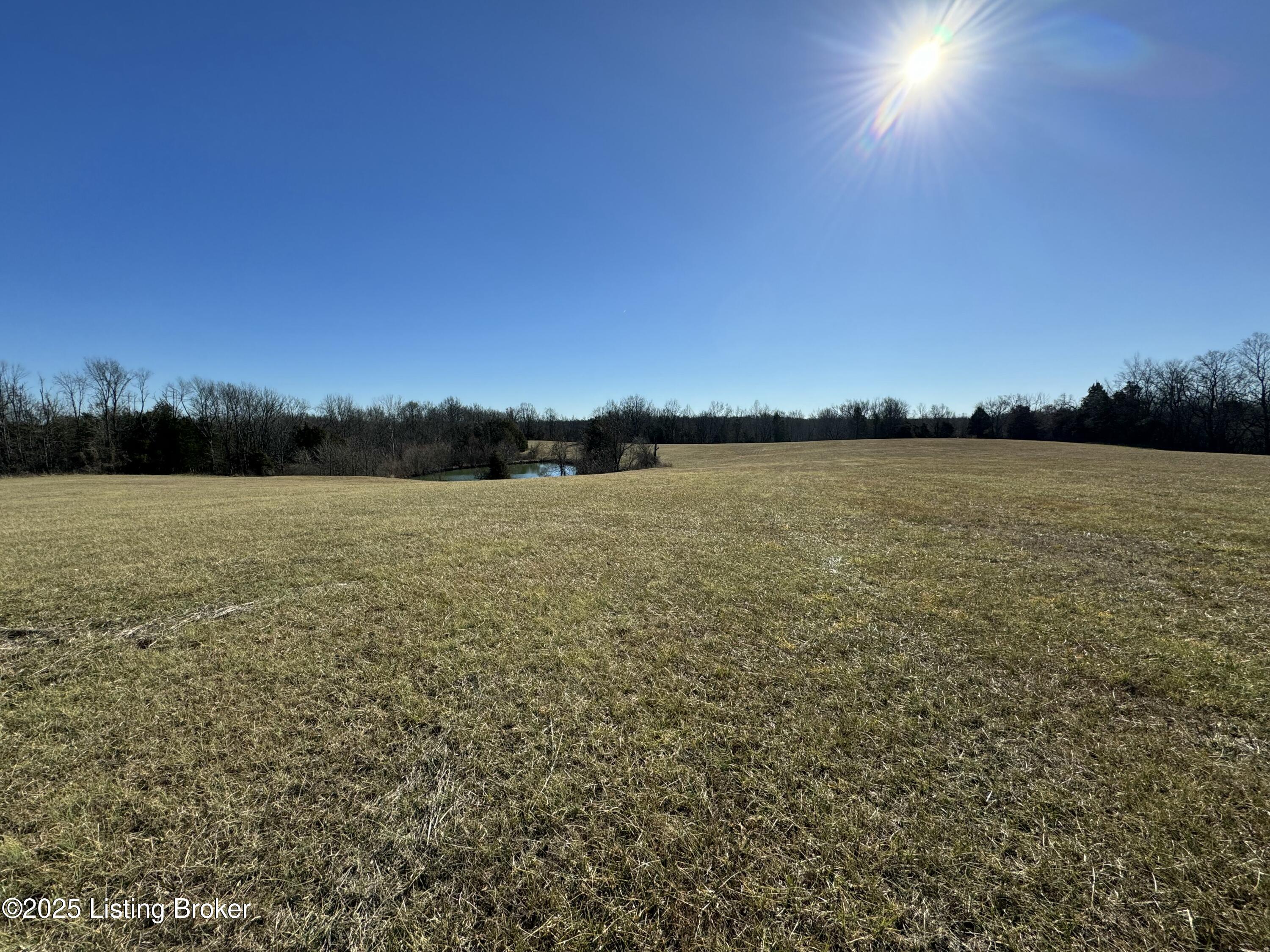 Land in Shelbyville 5