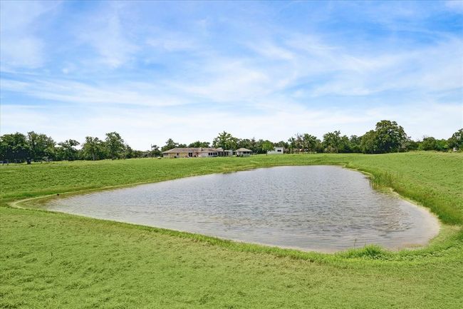 Pond | Image 12