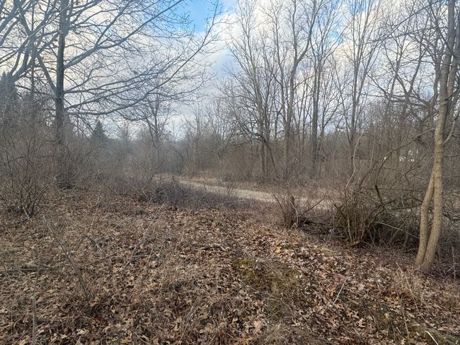 000 Daymon Dr, Home with 0 bedrooms, 0 bathrooms and null parking in Gregory MI | Image 4