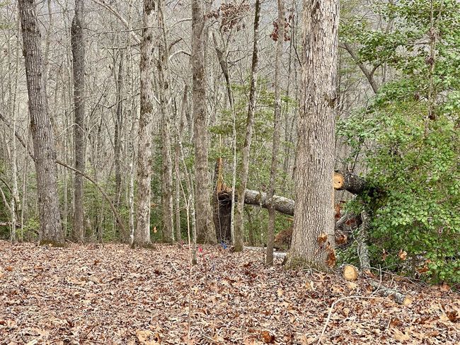 #114 Eagles Vw, Home with 0 bedrooms, 0 bathrooms and null parking in Hayesville NC | Image 10