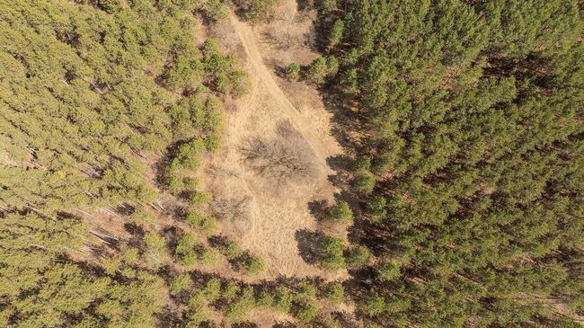 DJI_0328.jpg | Image 16