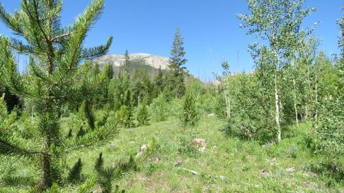 58 Sky Pilot Ln, SILVERTHORNE, CO, 80498 | Card Image