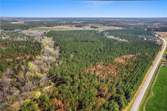 0 Hamburg State Park Rd, Home with 0 bedrooms, 0 bathrooms and null parking in Warthen GA | Image 4