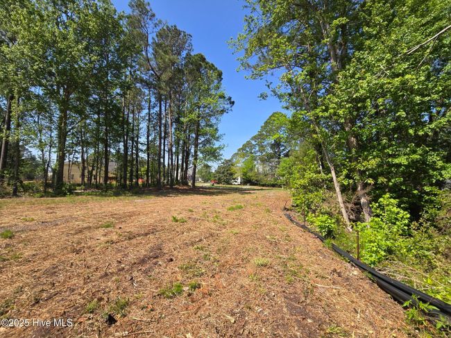 1254 Shenandoah St, Home with 0 bedrooms, 0 bathrooms and null parking in Wilmington NC | Image 23