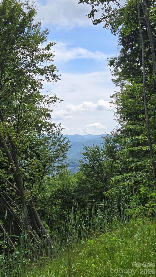 3-f-3355 Utah Mountain Rd, Waynesville, NC, 28785-8807 | Card Image