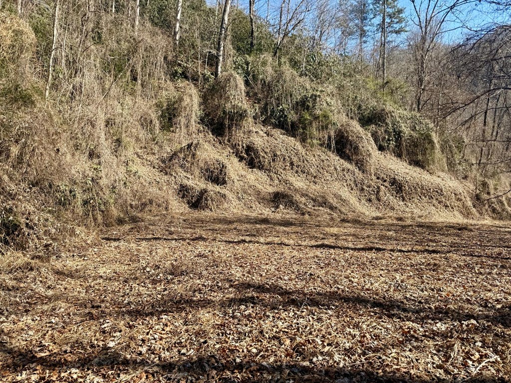 Land in Bryson City 5