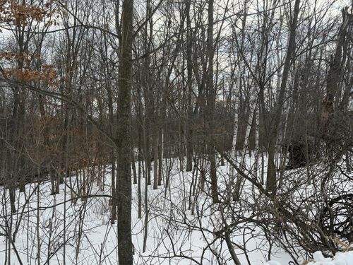 TBD 180th Ave, Balsam Lake, WI, 54810 | Card Image