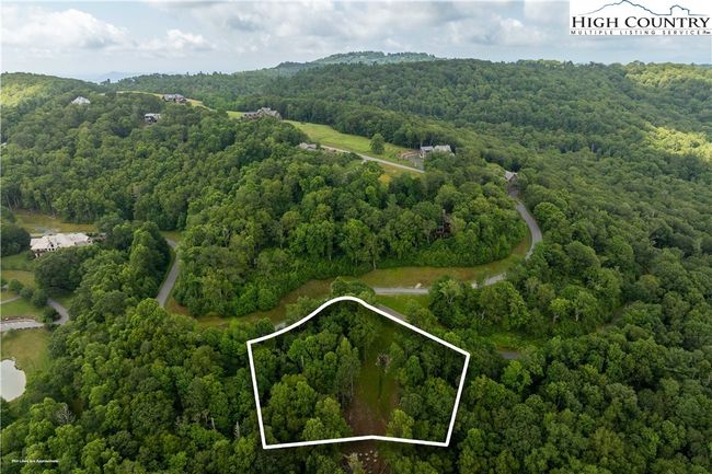 Lot 217 | Image 4