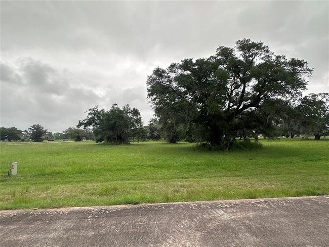 1607 Old Henry Ct, Home with 0 bedrooms, 0 bathrooms and null parking in Angleton TX | Image 8