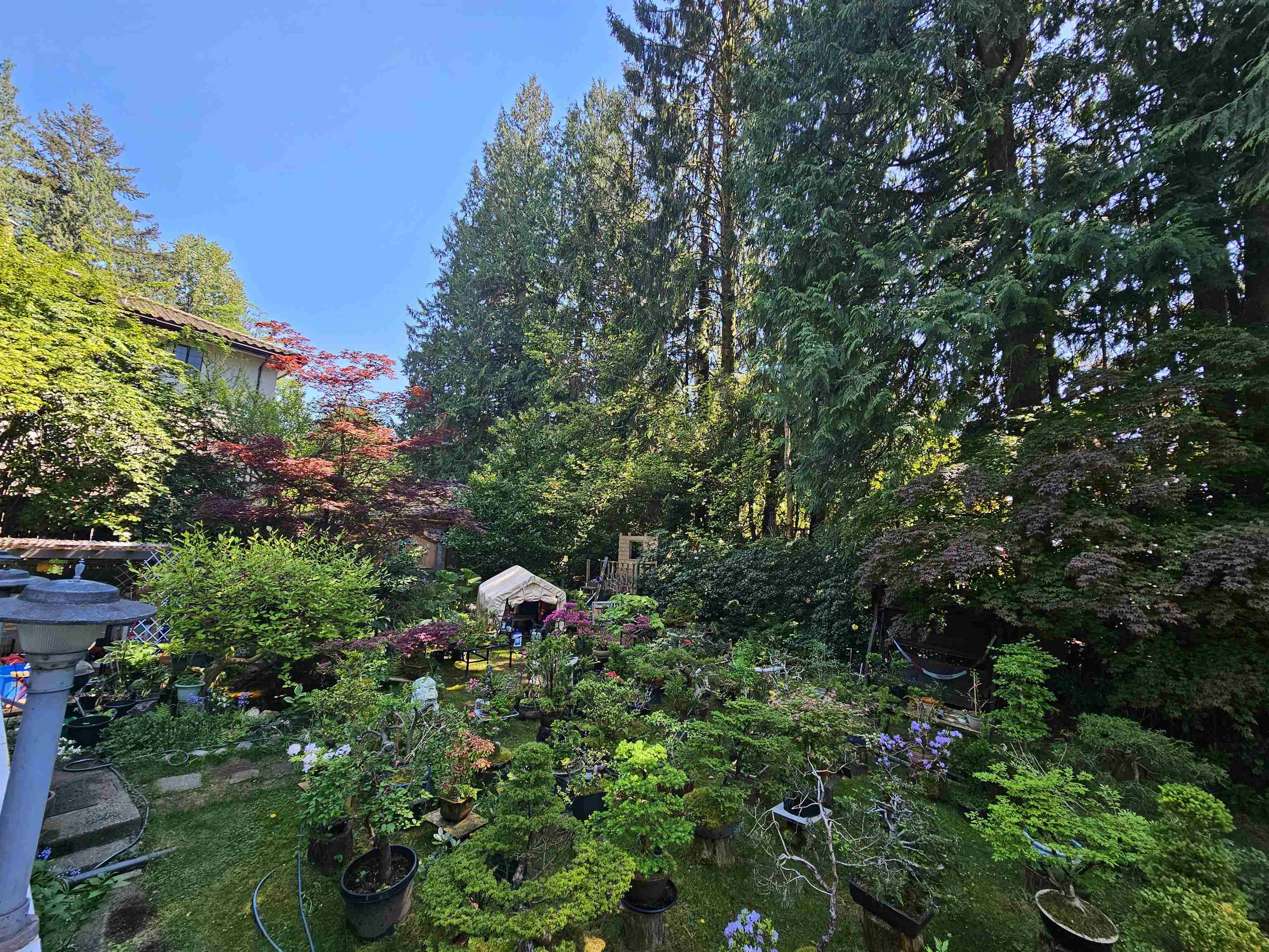 Residential in North Vancouver 2
