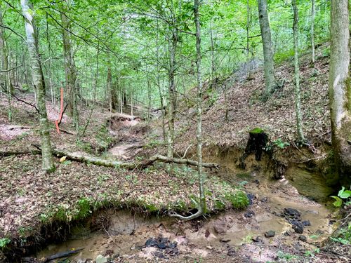 00 Coal Branch Rd, Beattyville, KY, 41311 | Card Image