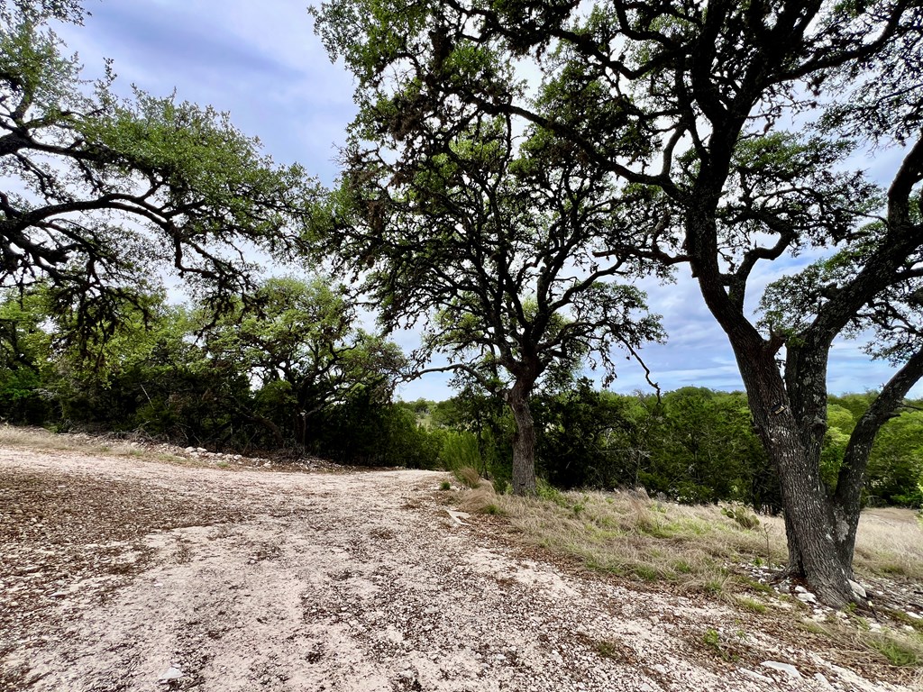 Land in Kerrville 3