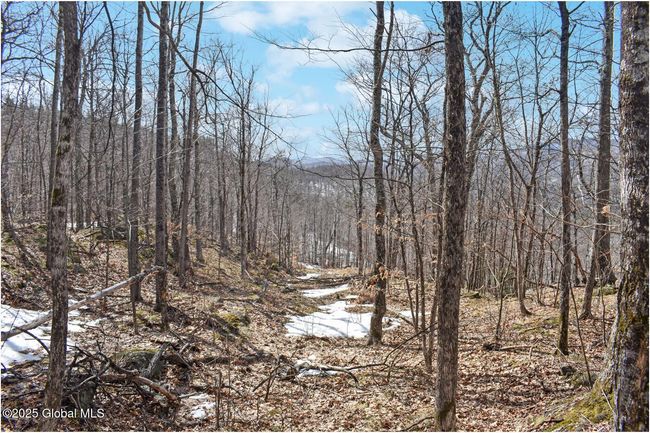 48 Durkin Rd, Home with 0 bedrooms, 0 bathrooms and null parking in North Creek NY | Image 32