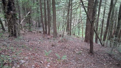 Lot 15 +37 acre Spruce Lane, Eden, VT, 05652 | Card Image