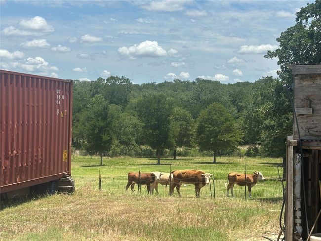 View of yard featuring a view of rural / pastoral area and a wooded view | Image 28