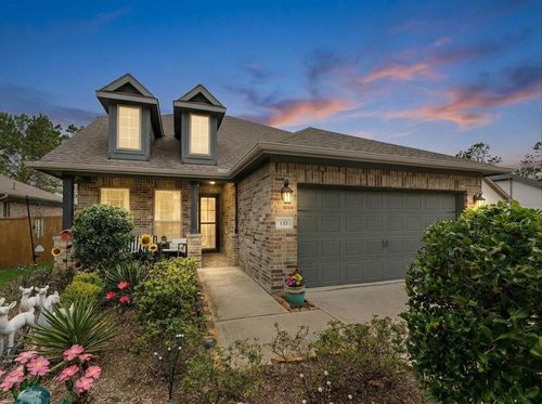 133 Pepper Grass Pl, Montgomery, TX, 77316-2164 | Card Image