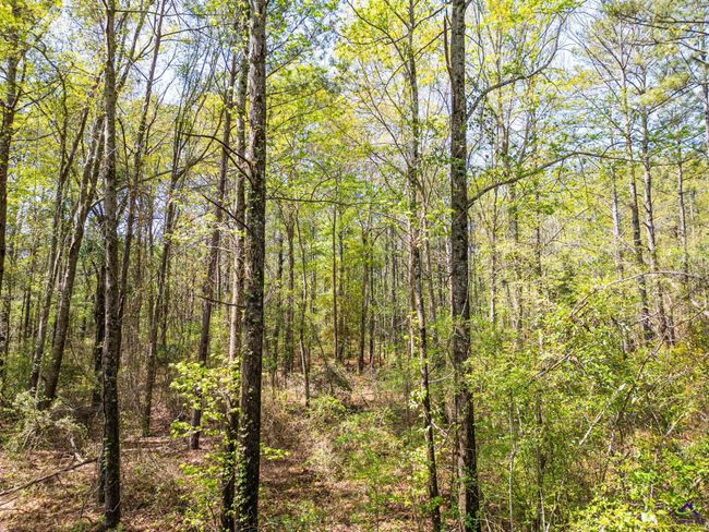 5760 Ga Highway 96 W, Home with 0 bedrooms, 0 bathrooms and null parking in Jeffersonville GA | Image 6