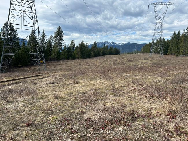 5 Red Fir Ln, Home with 0 bedrooms, 0 bathrooms and null parking in Noxon MT | Image 13