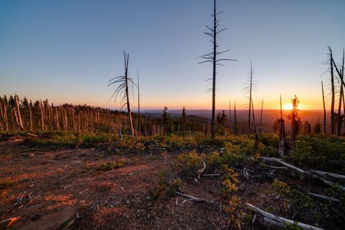 75 Acr Off The Grid, Emigrant Gap, CA, 95715 | Card Image