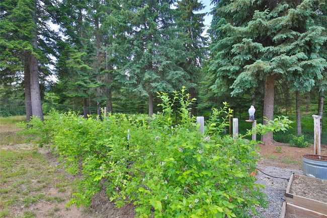 32 Whitepine Creek Rd, House other with 2 bedrooms, 2 bathrooms and null parking in Trout Creek MT | Image 45