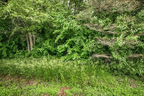 TBD Blackheath Drive, Saint Cloud, MN, 56301 | Card Image