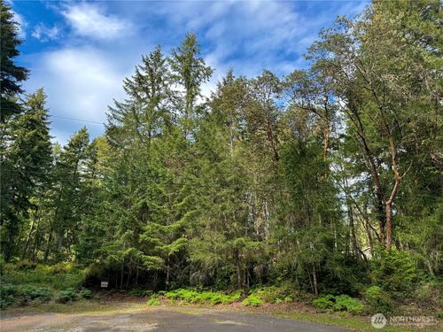 12027 Country Club Dr, Anderson Island, WA, 98303-9676 | Card Image