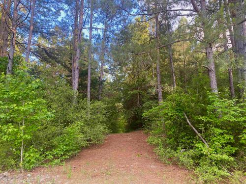 TBD County Road 2132 N, Tatum, TX, 75691 | Card Image