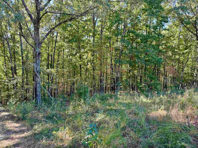 1660 Knob Creek Rd, House other with 3 bedrooms, 2 bathrooms and null parking in Melbourne AR | Image 29